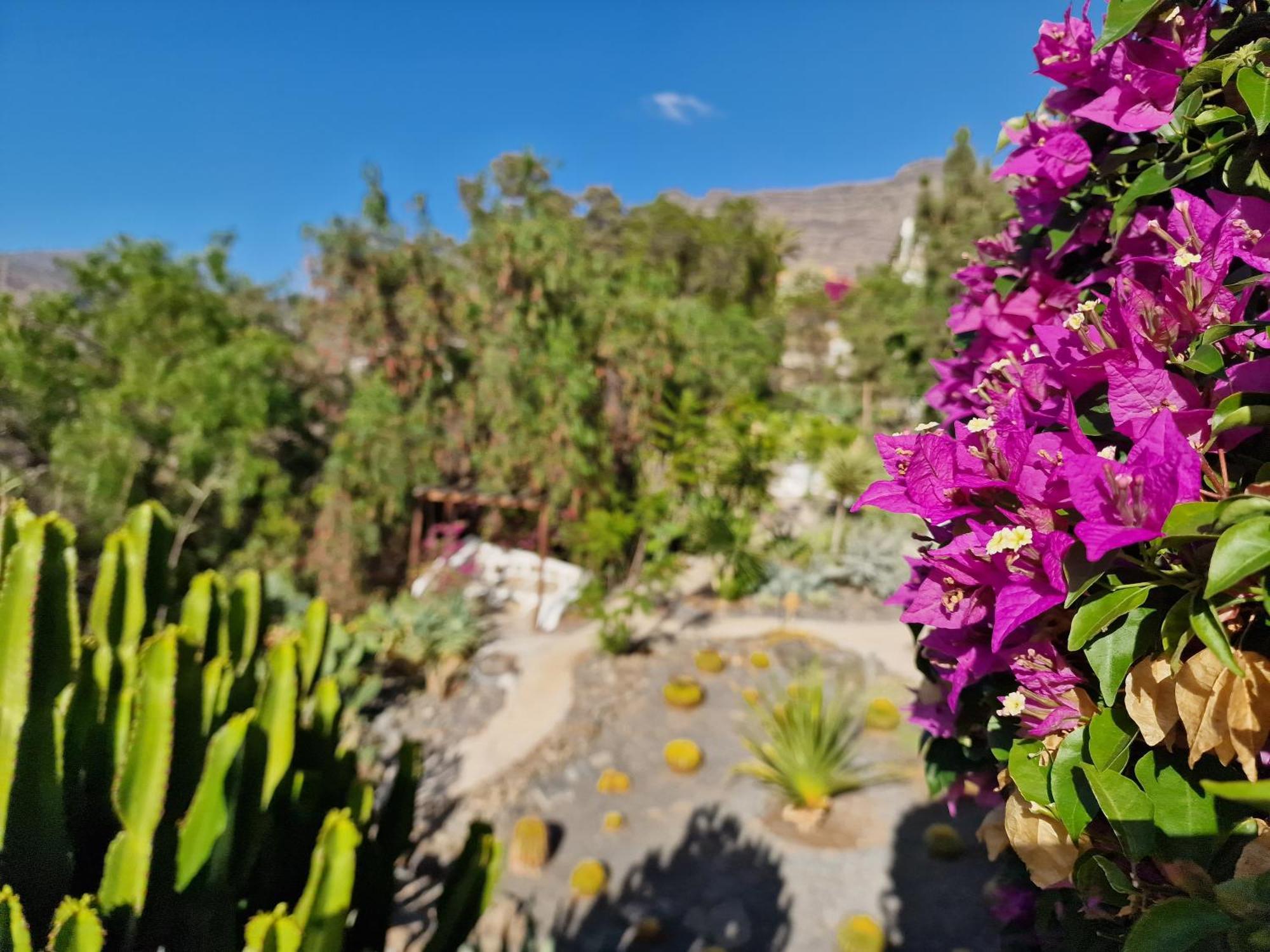 Historica Casa Con Vistas Al Jardin De Cactus Y Montanas Villa Mogan Ngoại thất bức ảnh